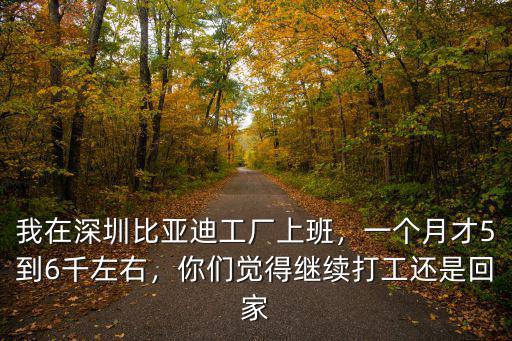 比亞迪在深圳賣的怎么樣,我在深圳比亞迪工廠上班