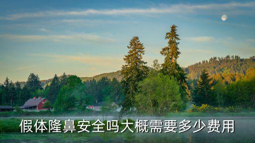 假體隆鼻安全嗎大概需要多少費用