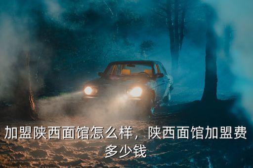 臨沂陜西面館加盟費大概多少,陜西面館加盟加盟多少錢