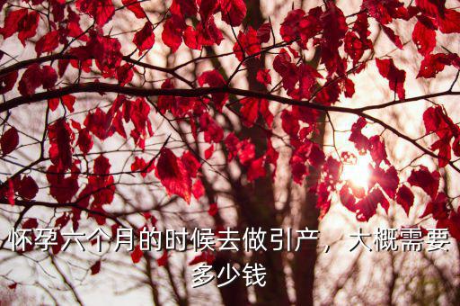 菏澤引產要多少錢啊,不想要這個孩子了要花多少錢