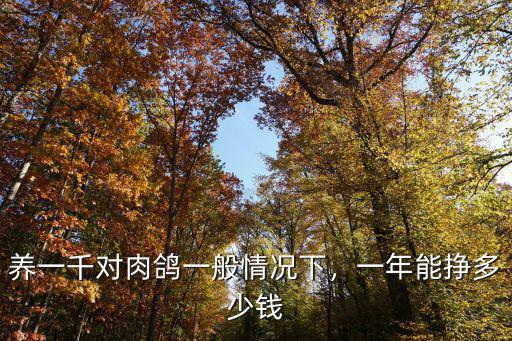 廣州乳鴿多少錢(qián),一年能掙多少錢(qián)