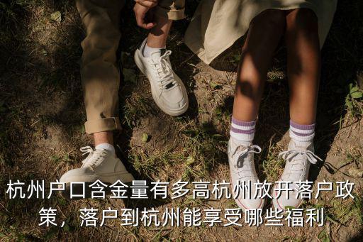 杭州落戶放開后搶了多少人,杭州放開落戶政策