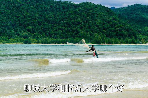 考聊城大學要多少分數,聊城大學和臨沂大學哪個好