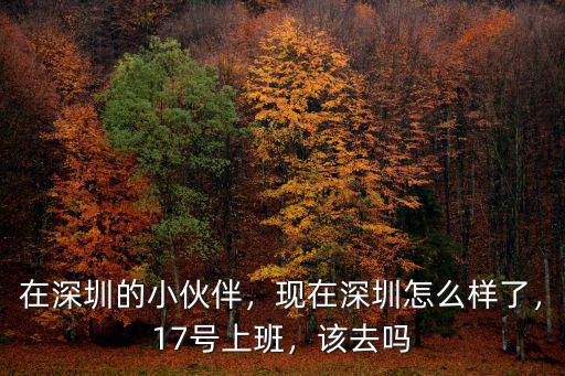 在深圳的小伙伴，現(xiàn)在深圳怎么樣了，17號(hào)上班，該去嗎