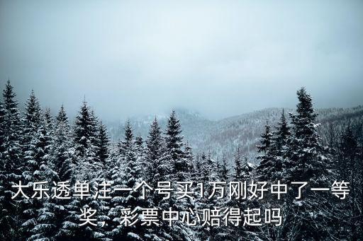 金華彩票一等獎中出多少了,如果彩票中了一等獎