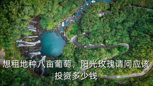 佛山陽光玫瑰葡萄多少錢一斤,想租地種八畝葡萄