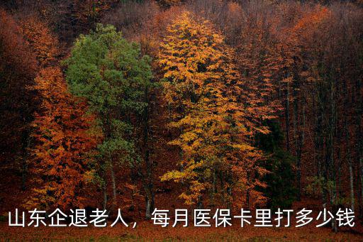 淄博退休人員醫(yī)保卡每月打多少錢,每月醫(yī)保卡里打多少錢
