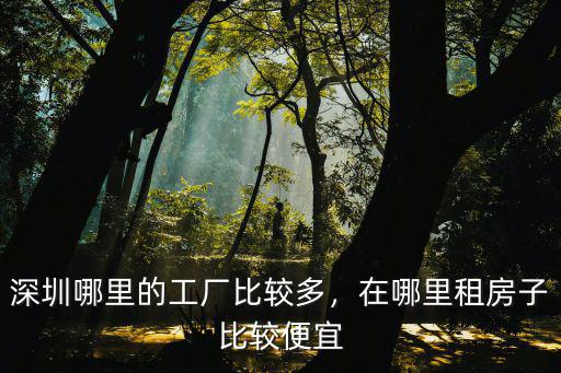 深圳哪里的廠房便宜又好,深圳哪里的工廠比較多