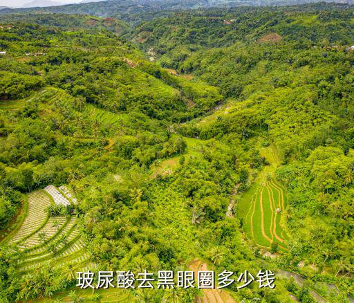 寧波除黑眼圈多少錢知珈禾費安軍,激光去黑眼圈一次多少錢