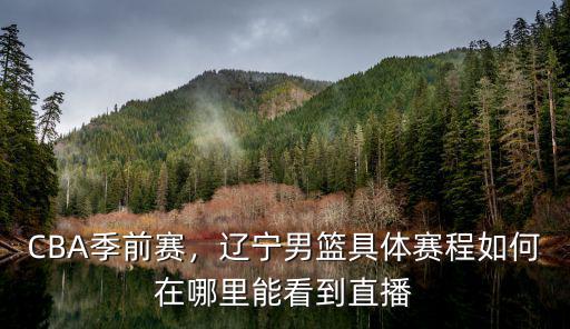 哪里有廣東對遼寧直播男籃,遼寧男籃VS安哥拉國家隊