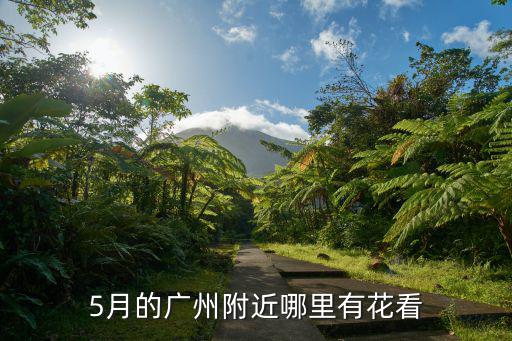 廣州南沙哪里有鮮花,南沙哪里吃飯比較好呢