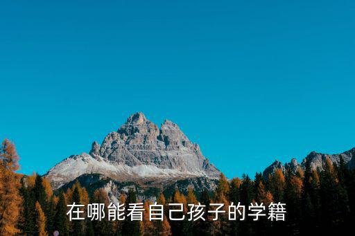在哪能看自己孩子的學(xué)籍