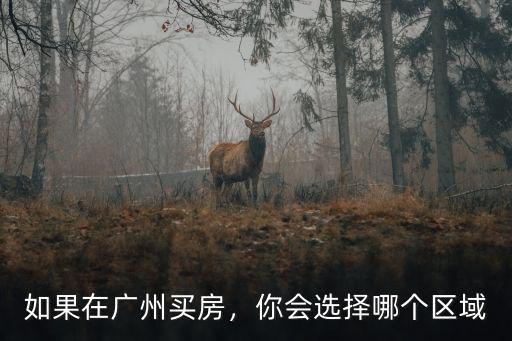 廣州金融城哪里買房好,想在廣州買房