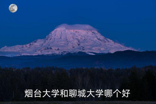 聊城大學全國有多少人,煙臺大學和聊城大學哪個好