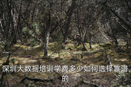深圳藍天培訓學費多少,深圳大數據培訓學費多少