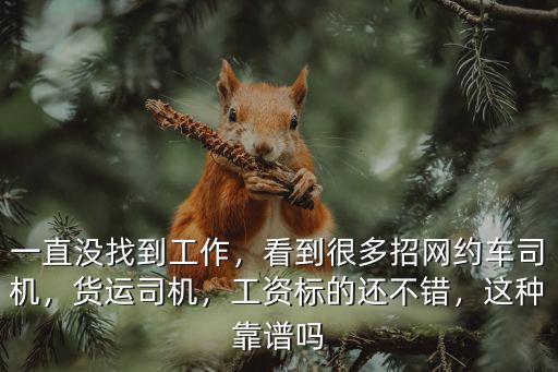 一直沒找到工作，看到很多招網(wǎng)約車司機，貨運司機，工資標(biāo)的還不錯，這種靠譜嗎