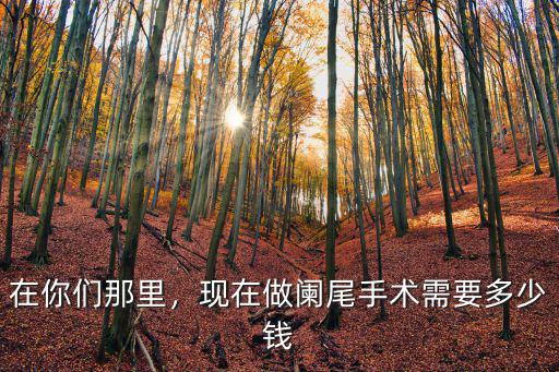 溫州雙嶼醫(yī)院做闌尾手術多少錢,現在做闌尾手術需要多少錢