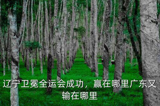 付豪廣東遼寧哪里人,付豪正式加盟遼寧本鋼