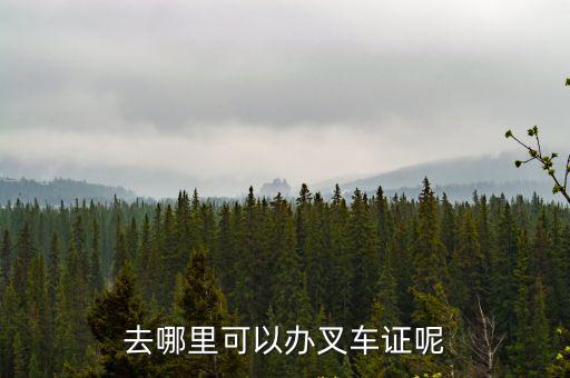 惠州市叉車證哪里辦理多少錢,去哪里可以辦叉車證呢