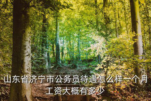 青島市公務(wù)員月工資加福利多少,在山東青島市