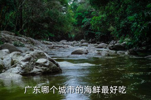 湛江哪里的猴子最好吃,廣東哪個(gè)城市的海鮮最好吃