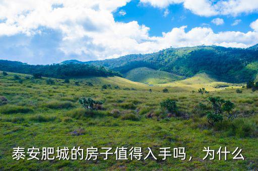 泰安肥城錄音棚多少錢,泰安肥城的房價多少