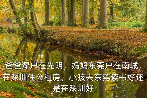 李云迪在深圳哪里讀書,在深圳住公租房
