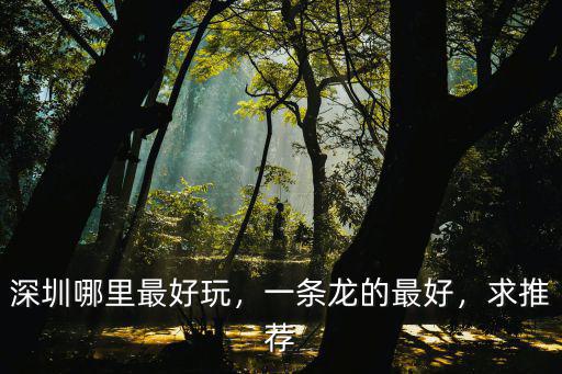 深圳哪里玩貼墻的,深圳哪里最好玩