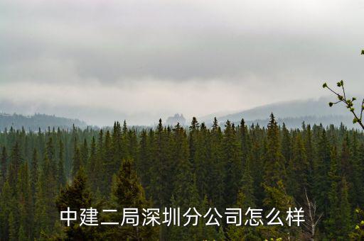 深圳方浩公司怎么樣,中建二局深圳分公司怎么樣