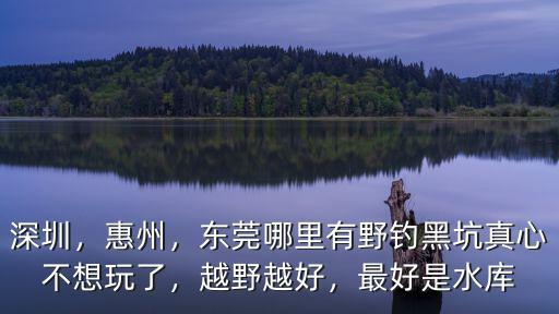 深圳，惠州，東莞哪里有野釣黑坑真心不想玩了，越野越好，最好是水庫