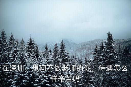在深圳，想問下做老師的你，待遇怎么樣辛苦嗎