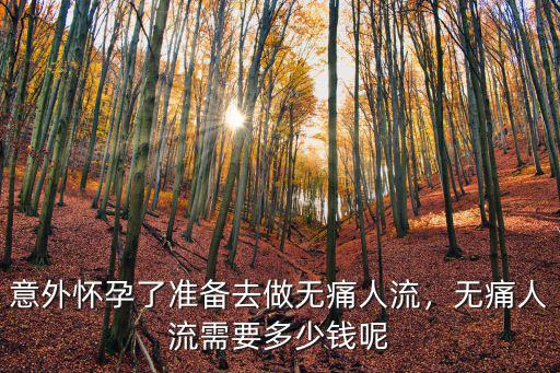 菏澤無(wú)痛人流要多少錢,意外懷孕了準(zhǔn)備去做無(wú)痛人流