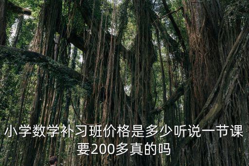 金華輔導(dǎo)機(jī)構(gòu)一對多一節(jié)課多少錢,昭陽區(qū)補(bǔ)課多少錢一節(jié)課