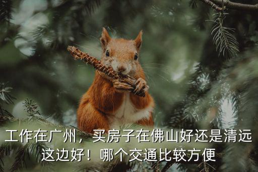 買房清遠還是佛山哪里好,在清遠買房好