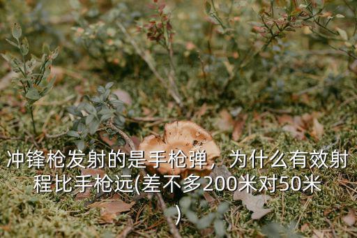 寧波手槍射程多少米,手槍最大射程多遠
