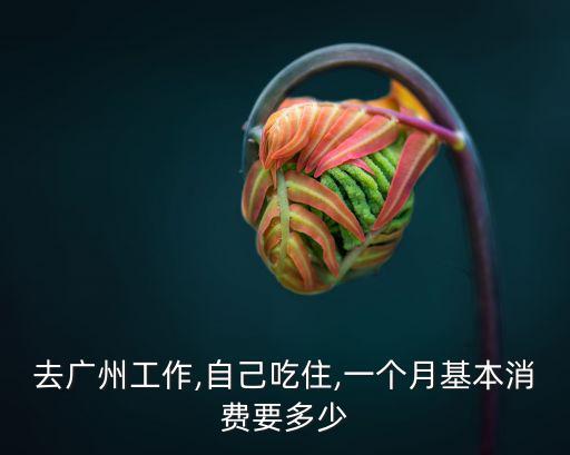 廣州晚餐一般花多少錢,在廣州做廣漂一族