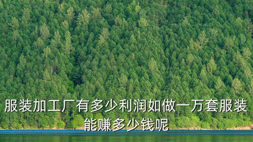在山東開個服裝廠多少錢,開個小型服裝廠