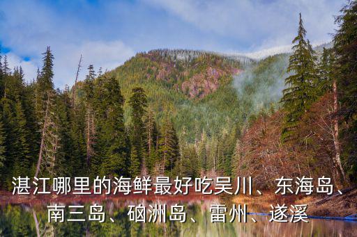 湛江水魚哪里最好吃,湛江哪里的海鮮最好吃