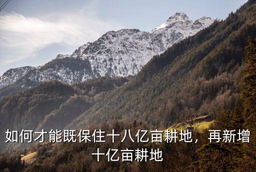 棗莊有多少畝耕地,農(nóng)村耕地出租多少錢(qián)一畝