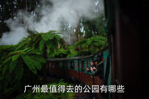 廣州去哪里看燈,廣州最值得去的公園有哪些