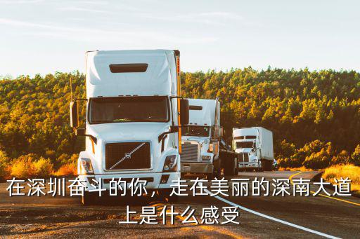 深圳觀光大道是哪里,深圳迎賓大道