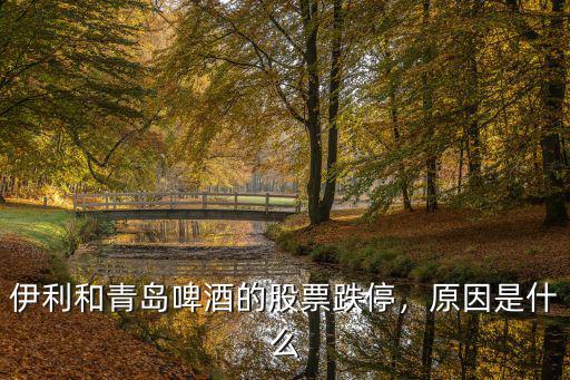 伊利和青島啤酒的股票跌停，原因是什么
