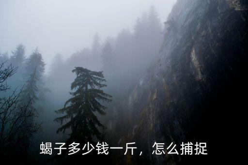 蝎子多少錢一斤，怎么捕捉