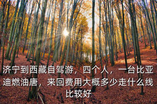 壽光到濟寧自駕費多少錢,濟寧到西藏自駕游
