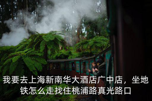 中山北路光新路到桃浦路怎么走,找住桃浦路真光路口