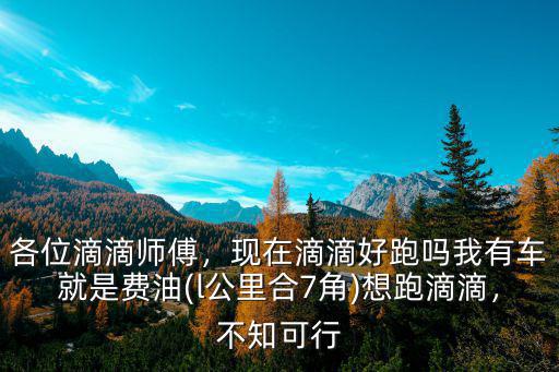 杭州滴滴司機一天能跑多少,用來跑滴滴怎么樣