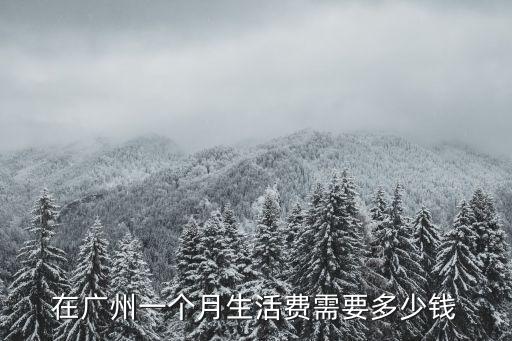 在廣州一個月生活費(fèi)需要多少錢