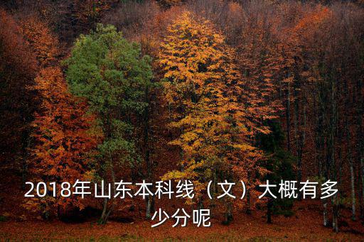 山東純文多少分本科,2018年山東本科線