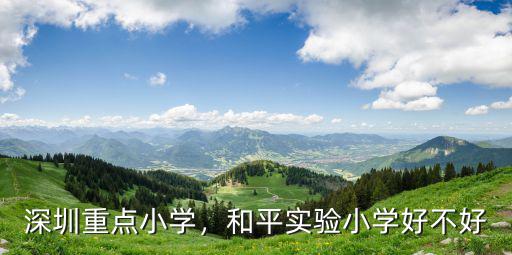 深圳重點小學(xué)，和平實驗小學(xué)好不好