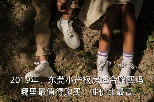 2019年，東莞小產權房適合購買嗎哪里最值得購買、性價比最高